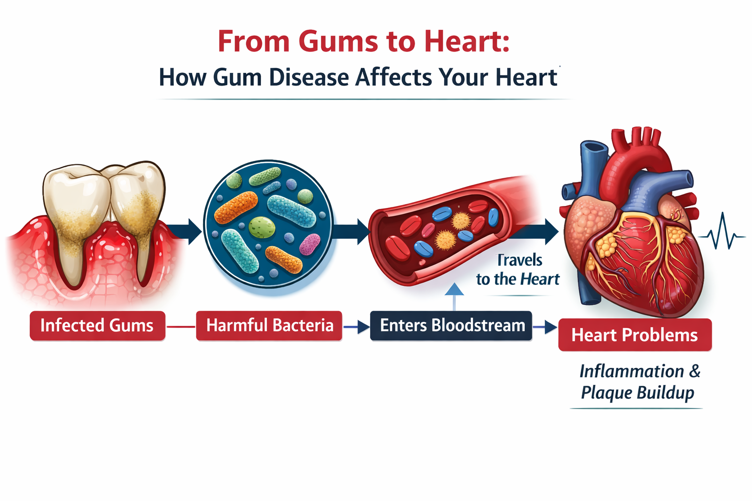 Can Gum Disease Affect Your Heart? What You Need to Know