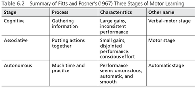 The Three Stages of Learning Part 1