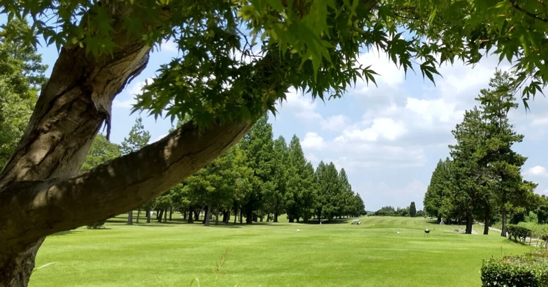 夏にゴルフをする際は、暑さ対策と服装のマナーに注意が必要です。