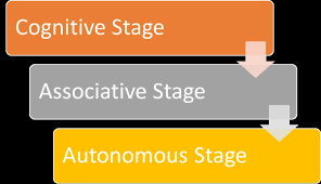 What are the 3 stages of learning?•Cognitive•Associative•Autonomous