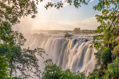 Enchanted Forest of Zambia and Zimbabwe image