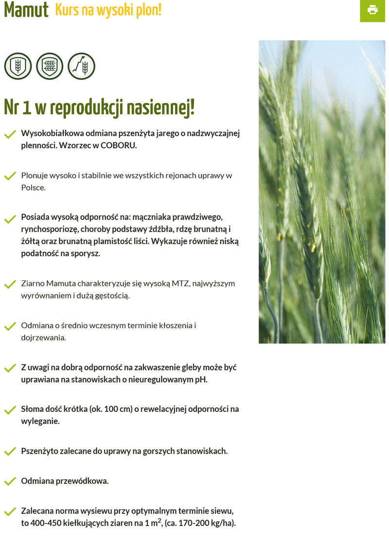 PSZENŻYTO MAMUT C1