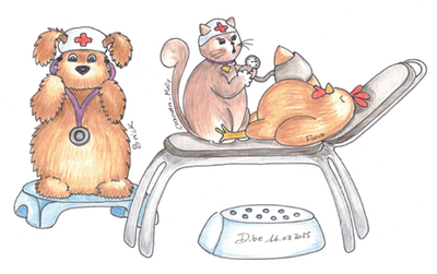 Cosa fare se una gallina s'ammala