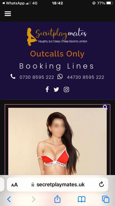 The New Standard of Hertfordshire Escorts: Affordable Luxury with Secret Playmates
