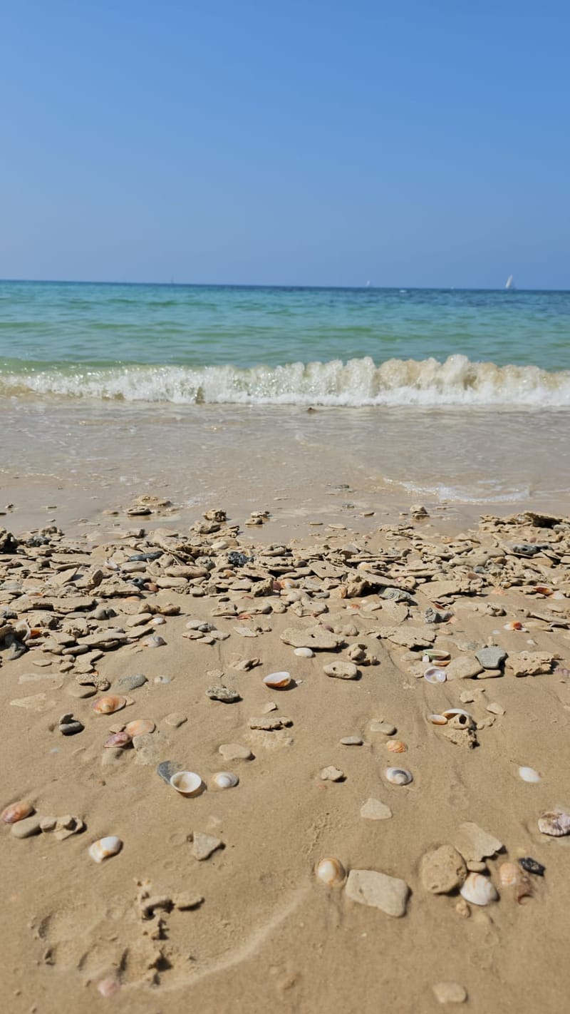 לנשים בתהליכי פוריות