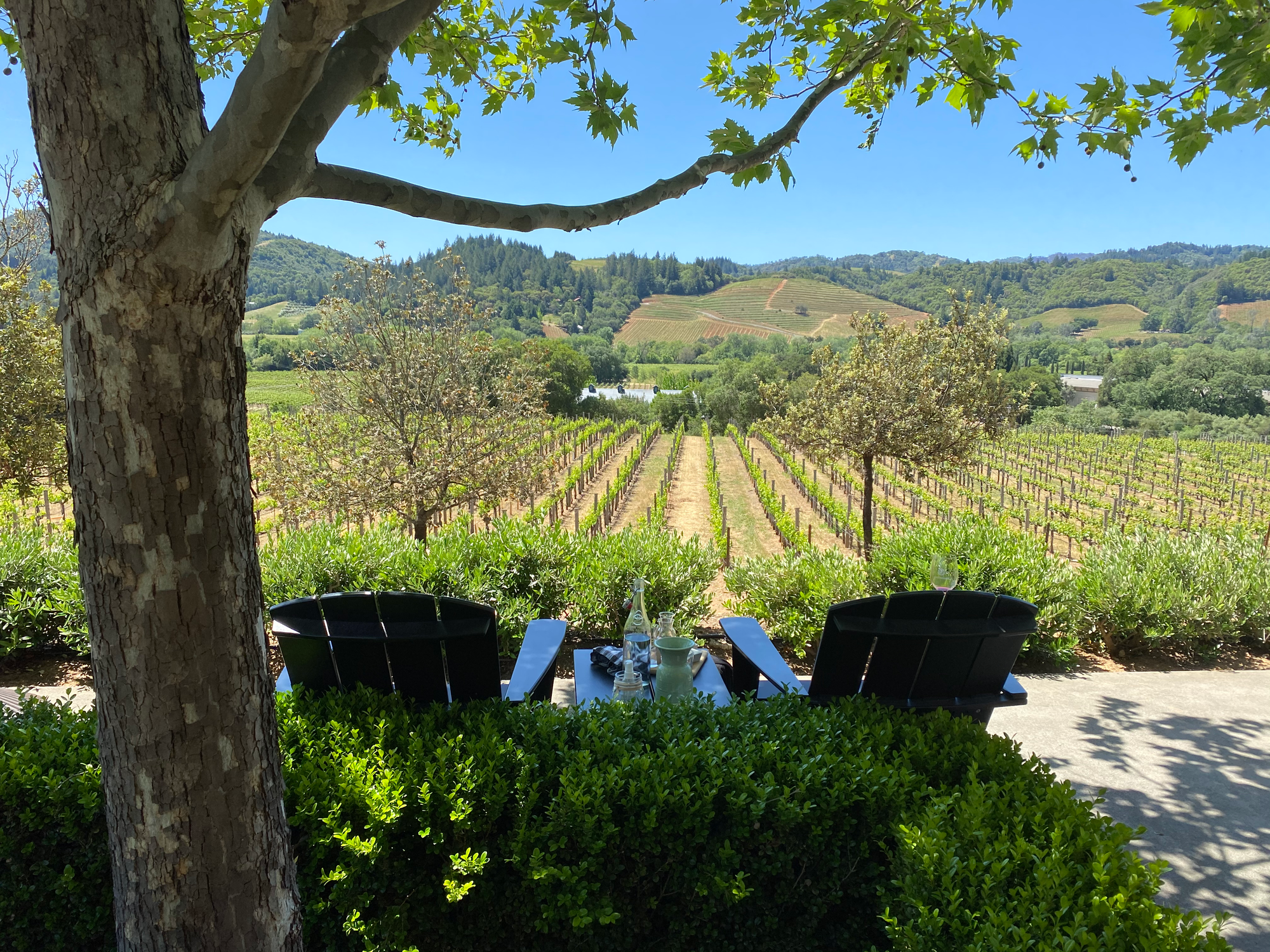 Wine Country and Dry Creek Valley