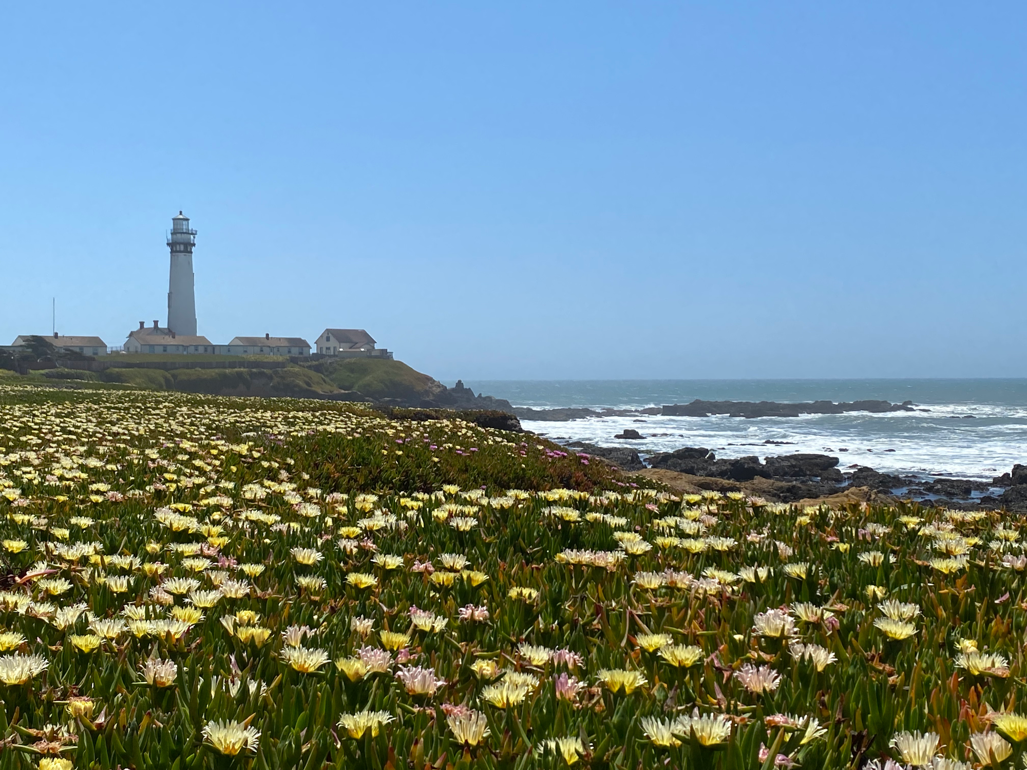 Headed down the Pacific Coast Highway