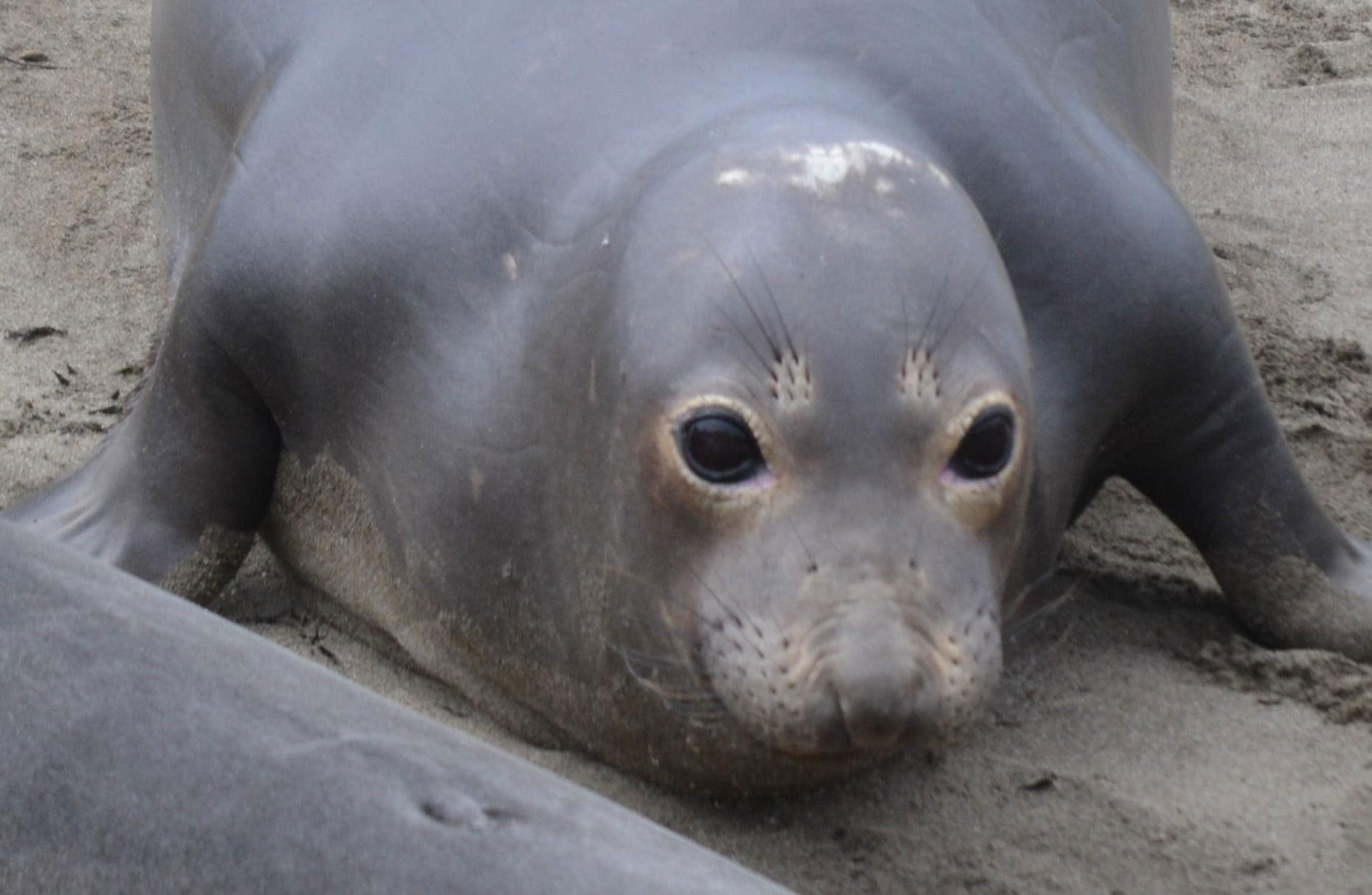 Some of my favorite parts of the coast