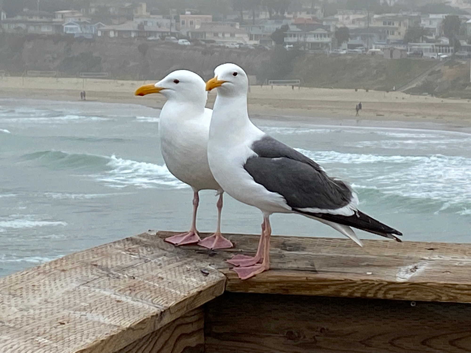 Some of my favorite parts of the coast