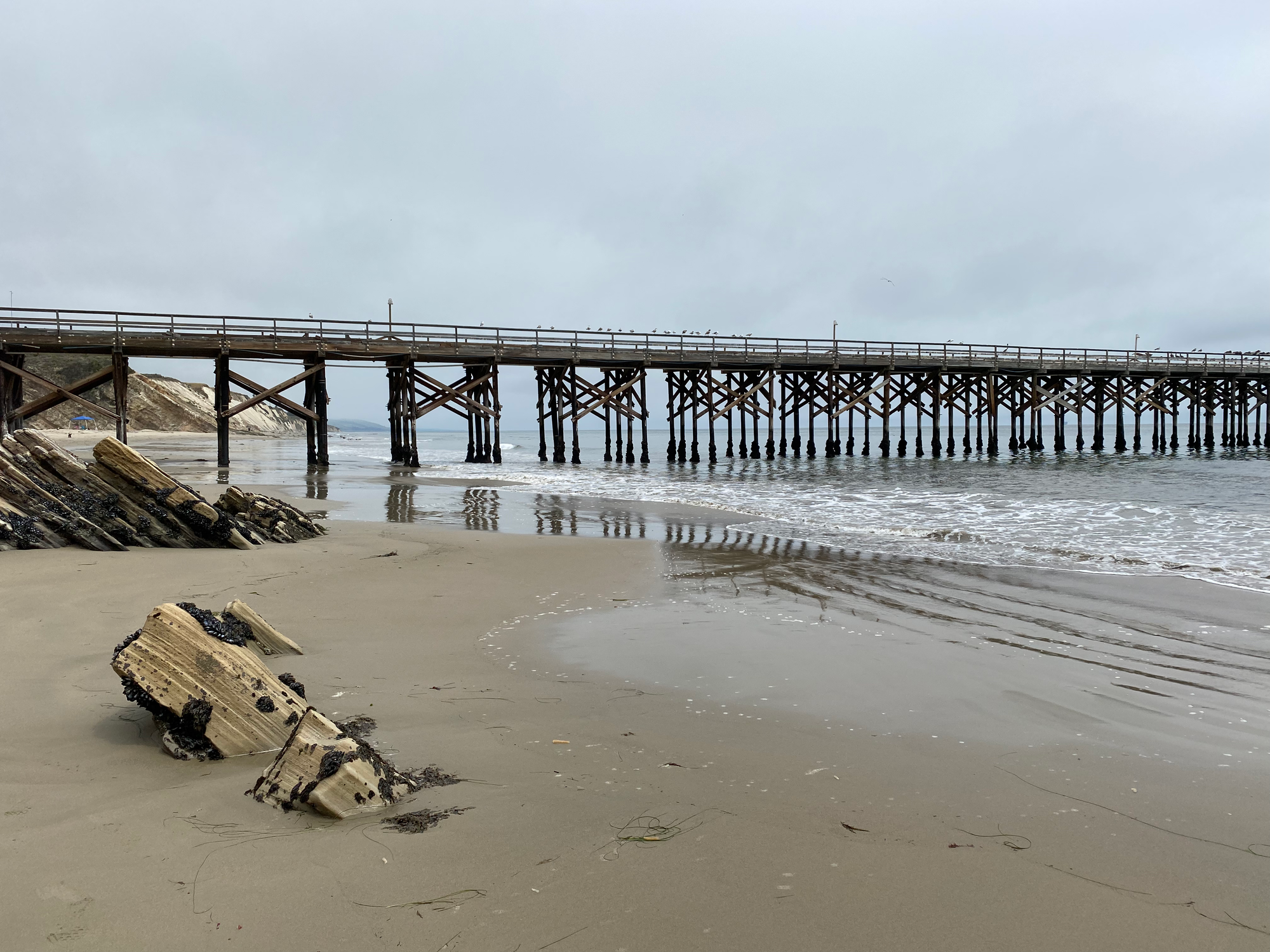 Some of my favorite parts of the coast