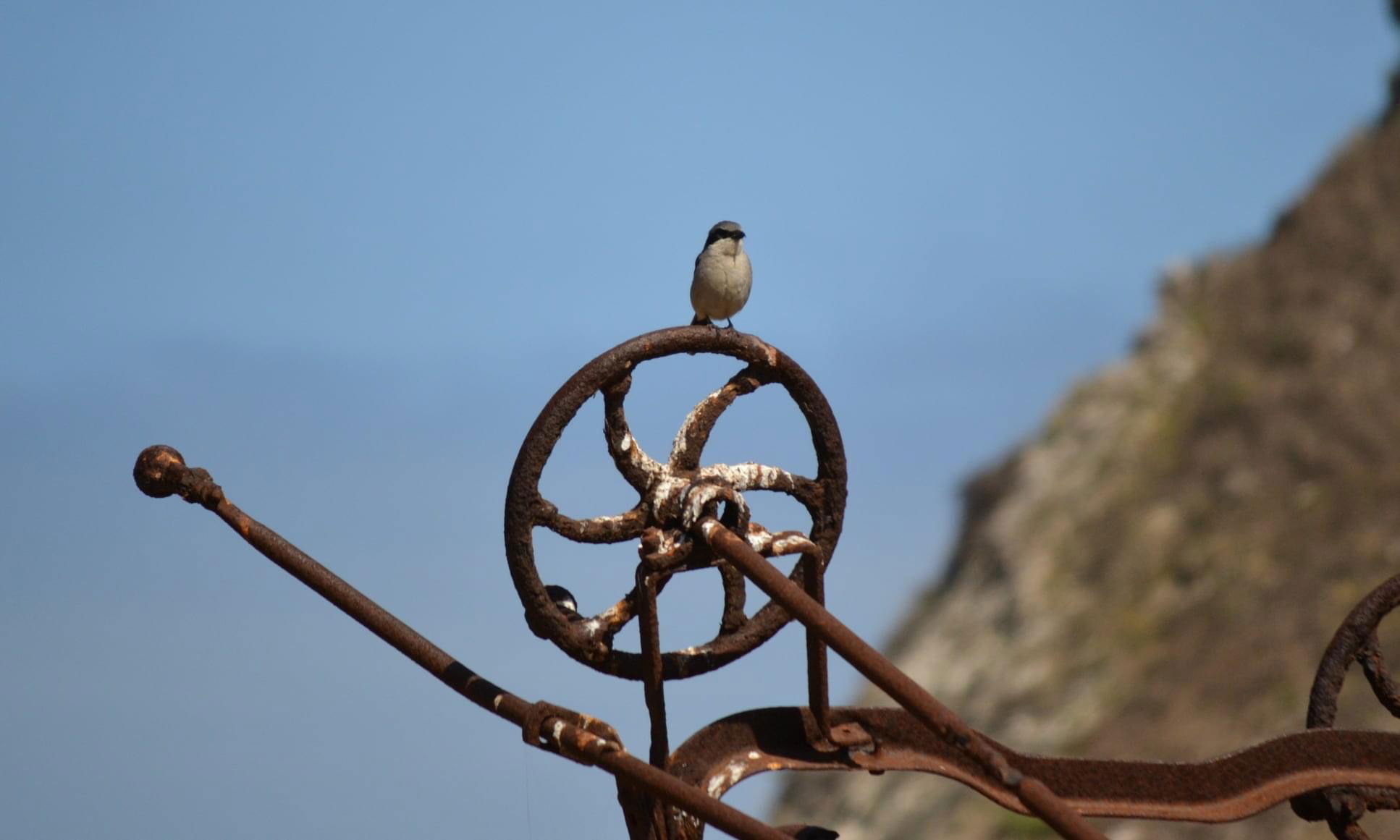Channel Islands National Park