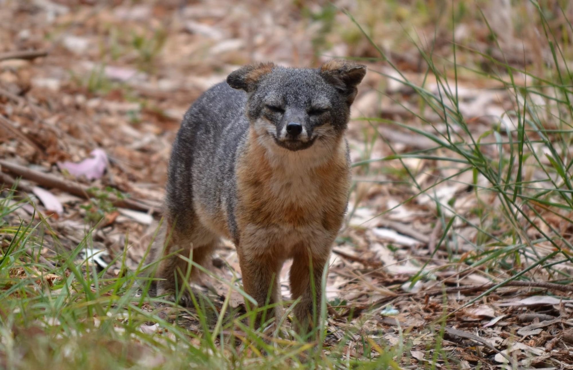 Channel Islands National Park
