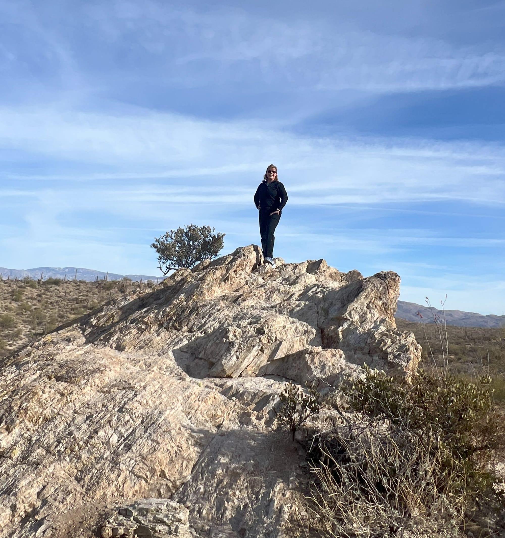 Saguaro National Park (Tucson Mountain District)