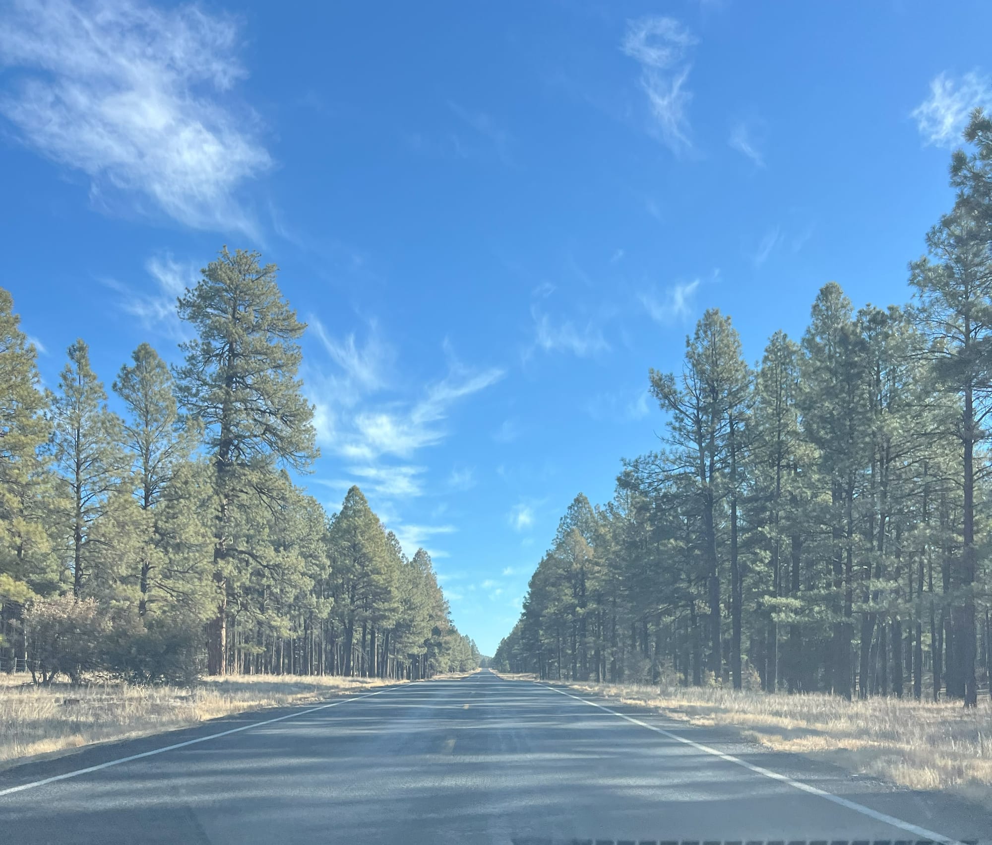 The road less traveled...in Arizona