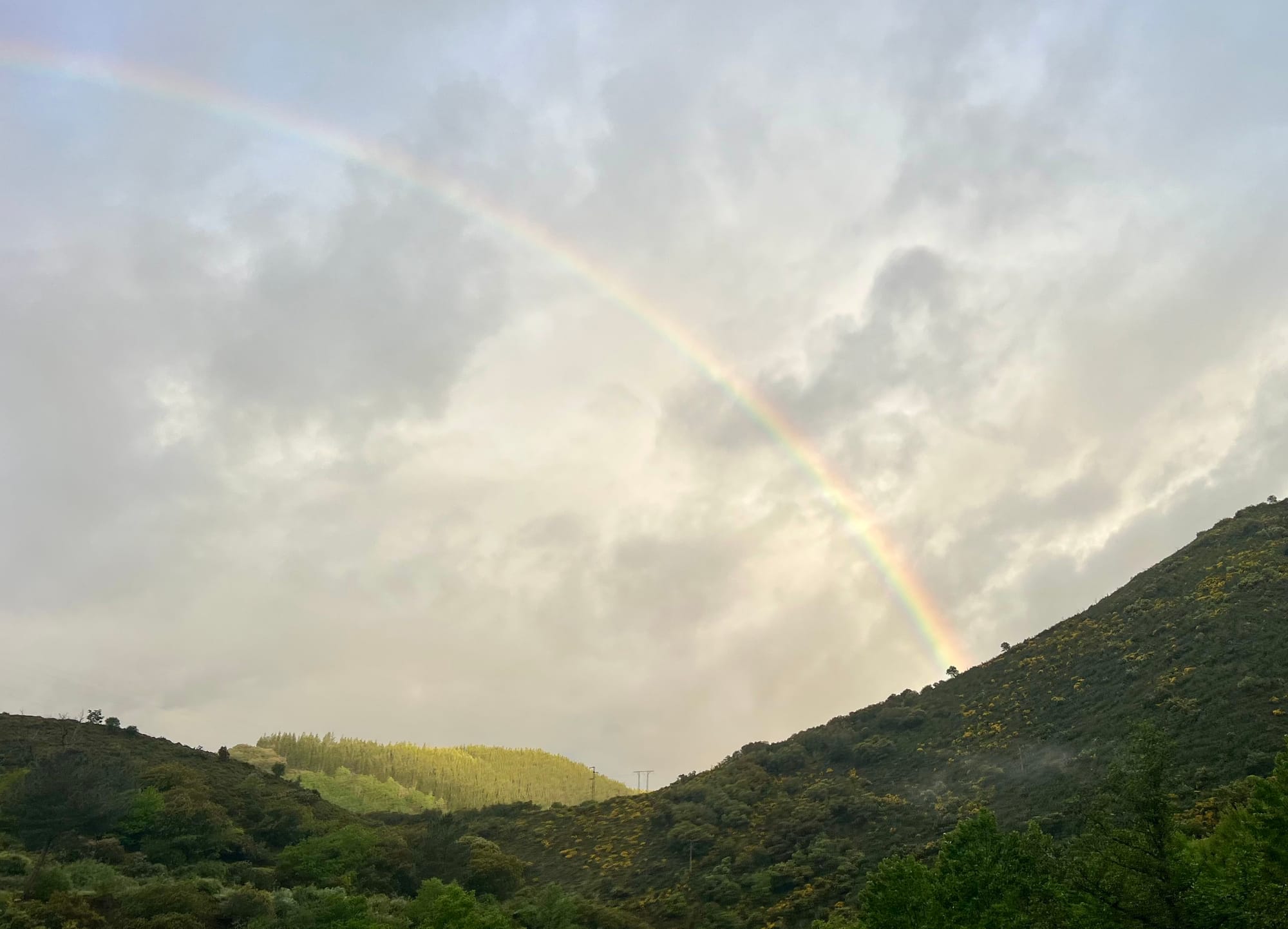 And…I’m back on my feet