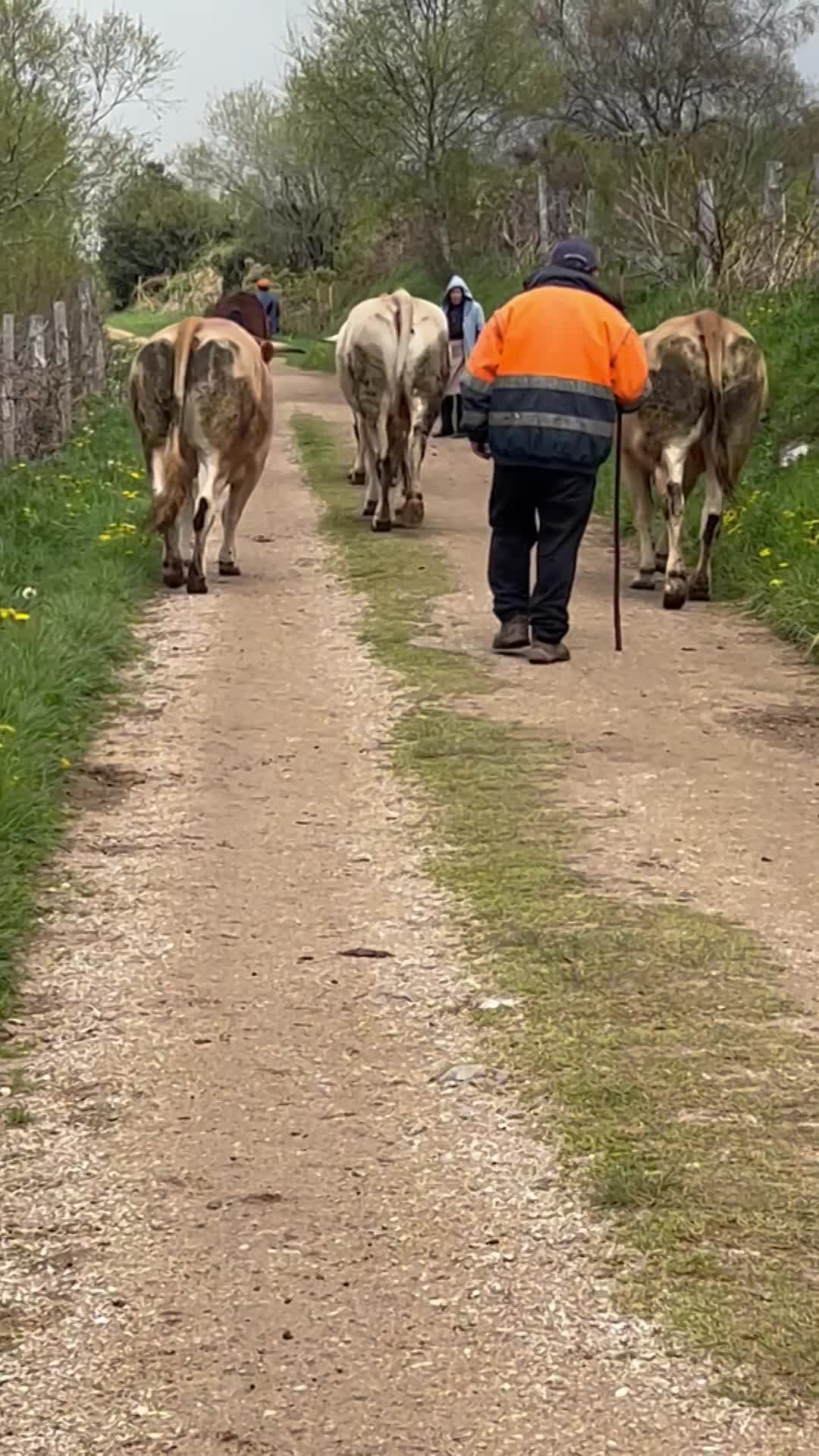 One of my favorite parts of today 