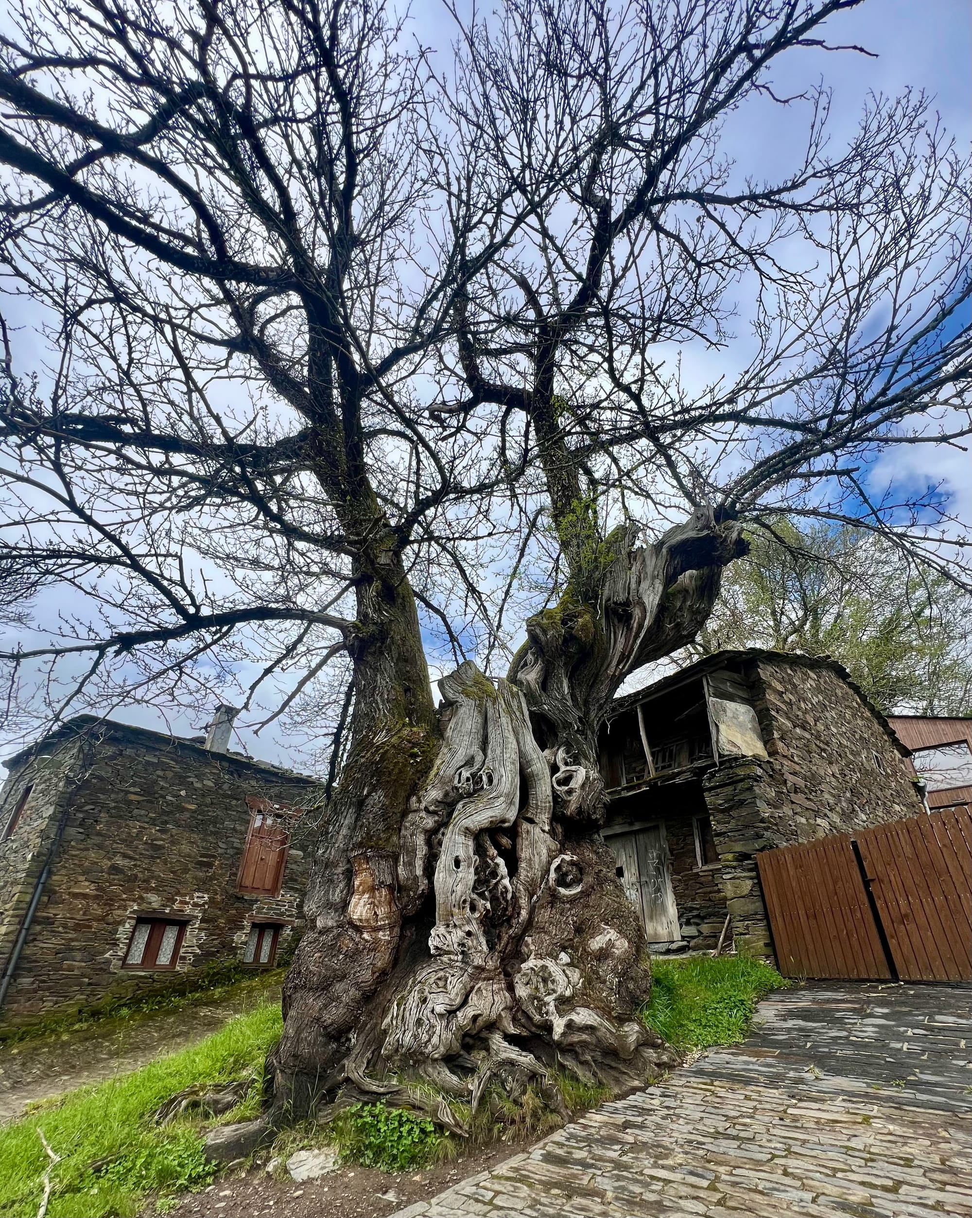 Photos along the way 