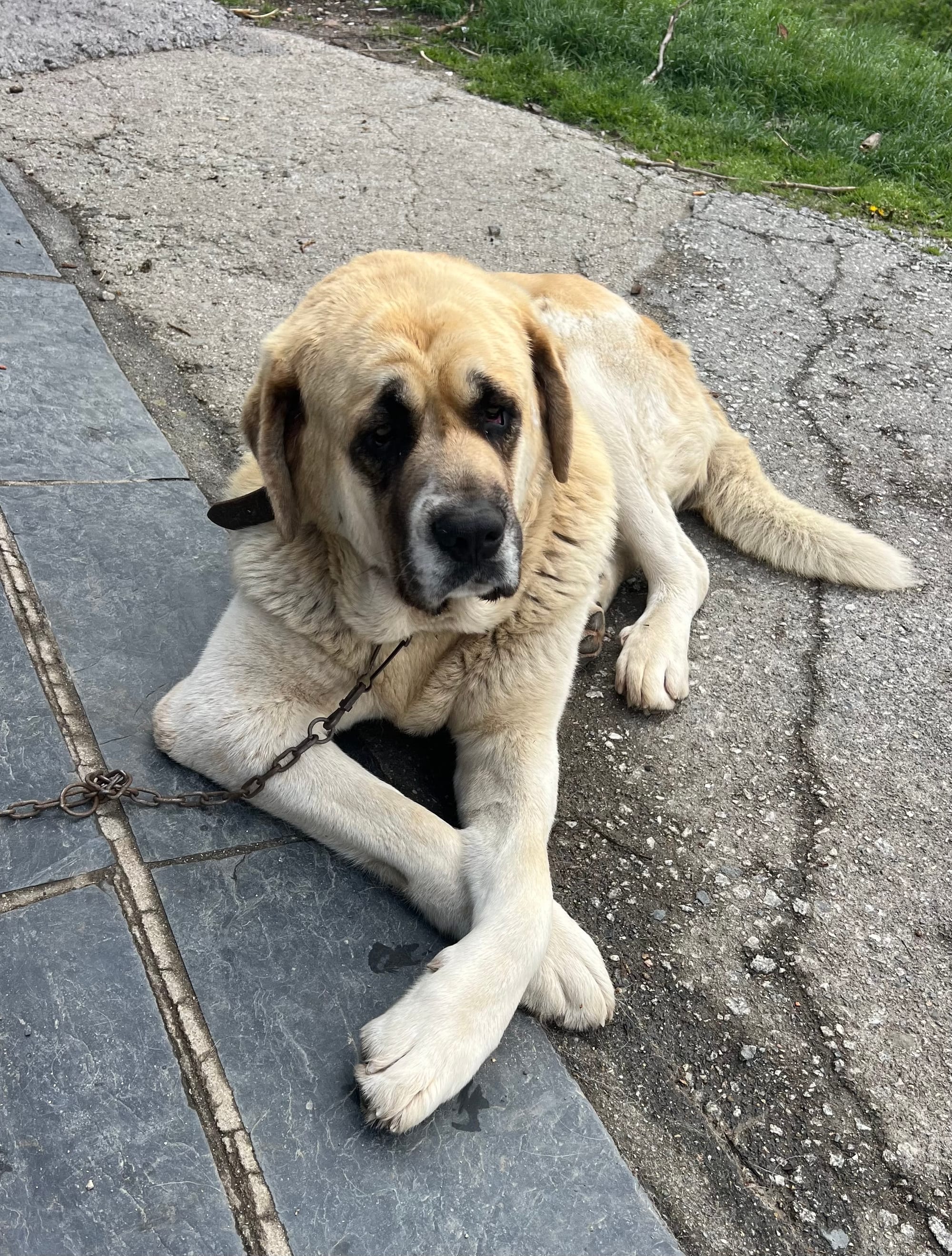 Photos along the way 