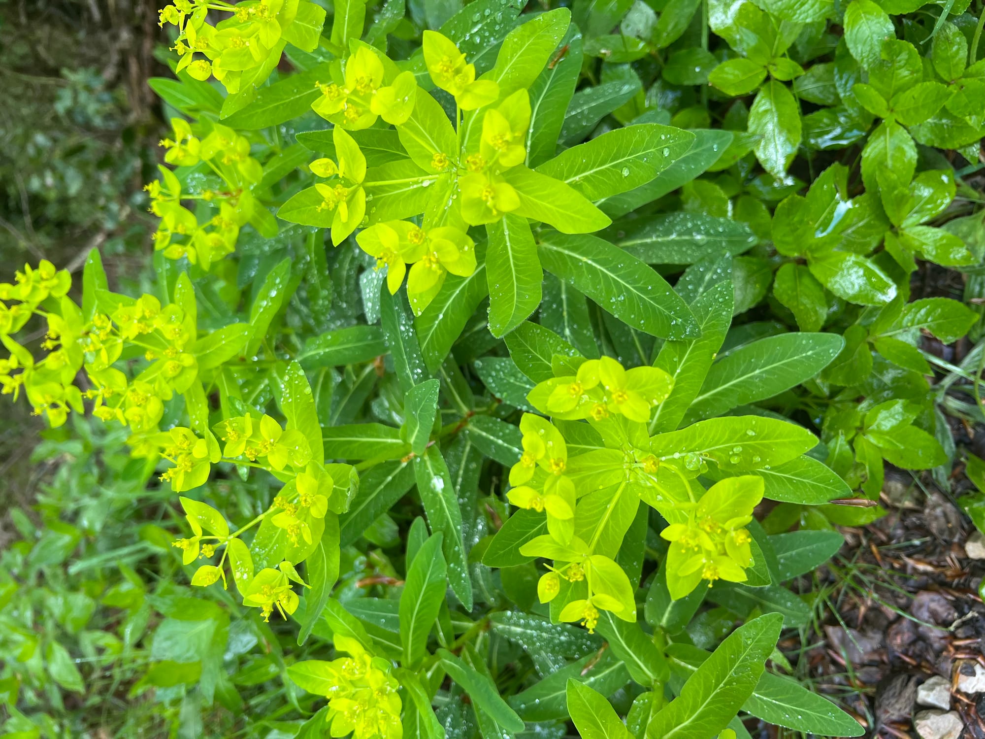 Photos along the way 