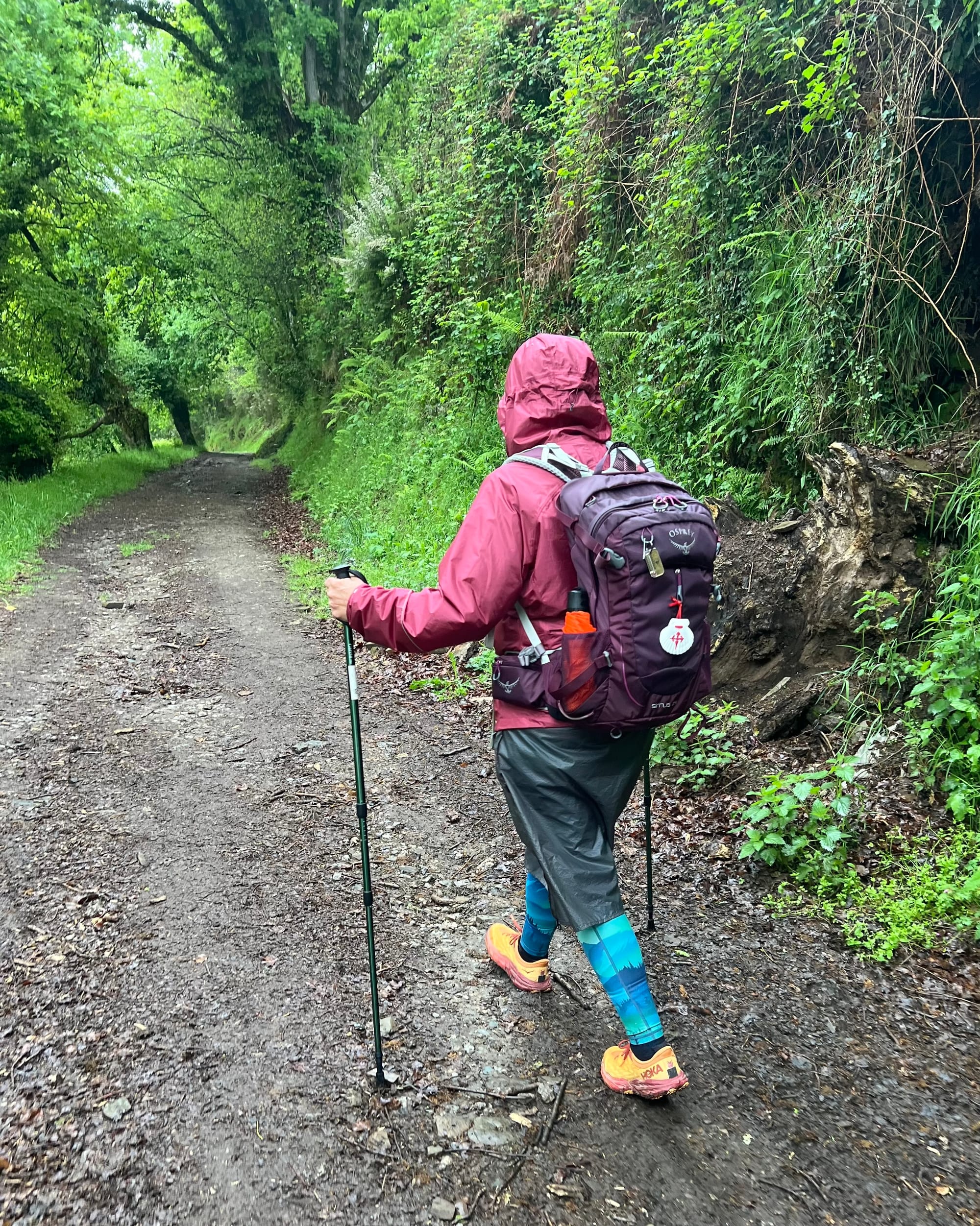 Triacastela to Sarria