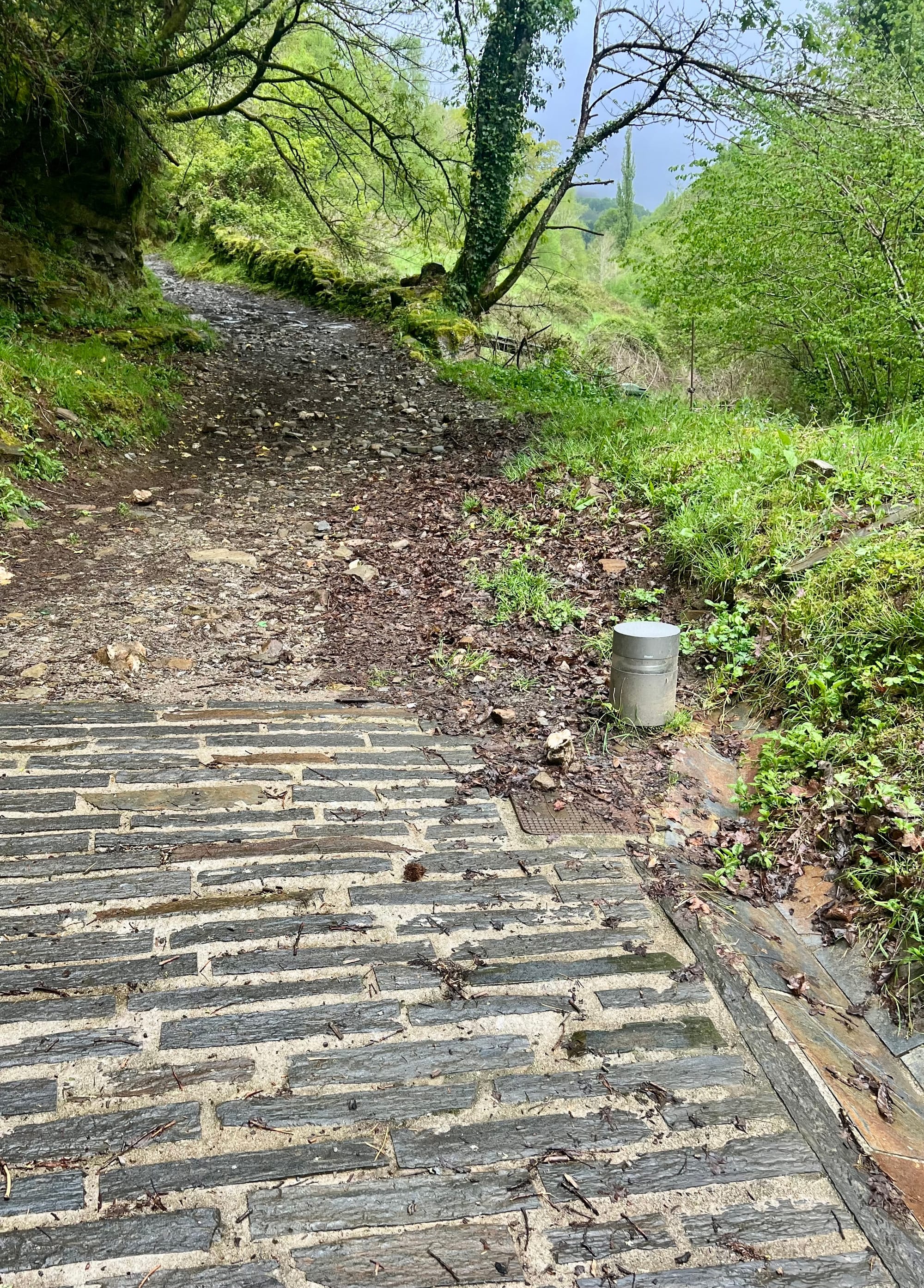 Triacastela to Sarria