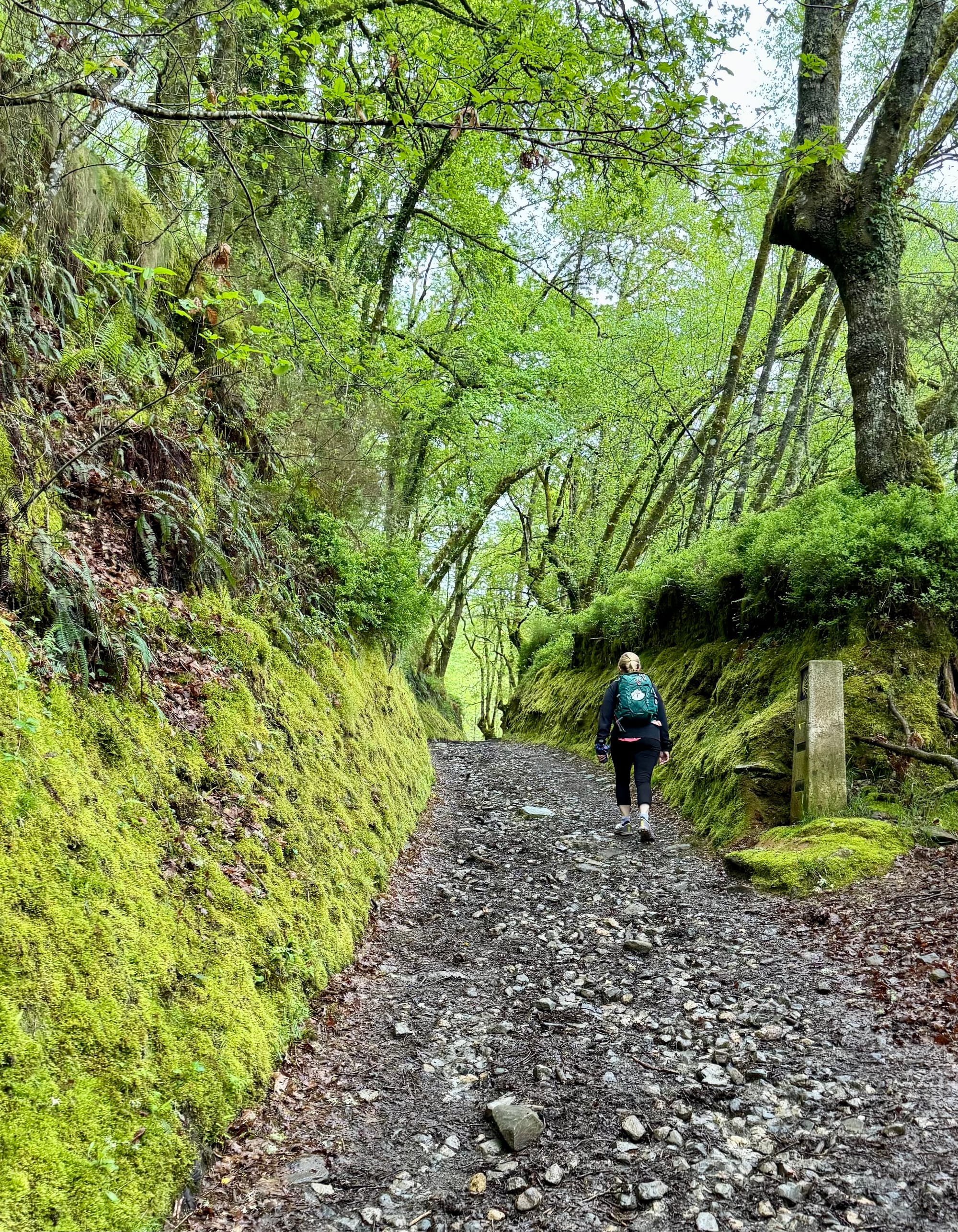 Triacastela to Sarria
