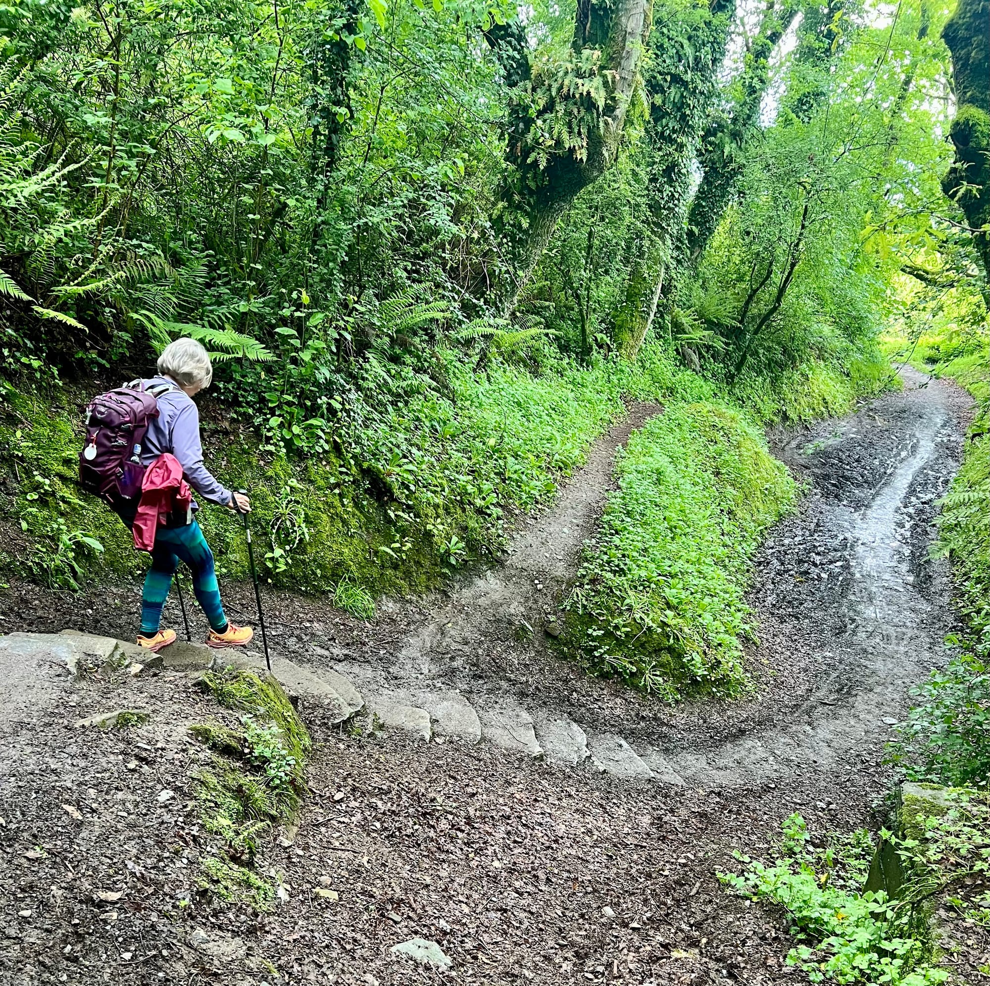 Triacastela to Sarria