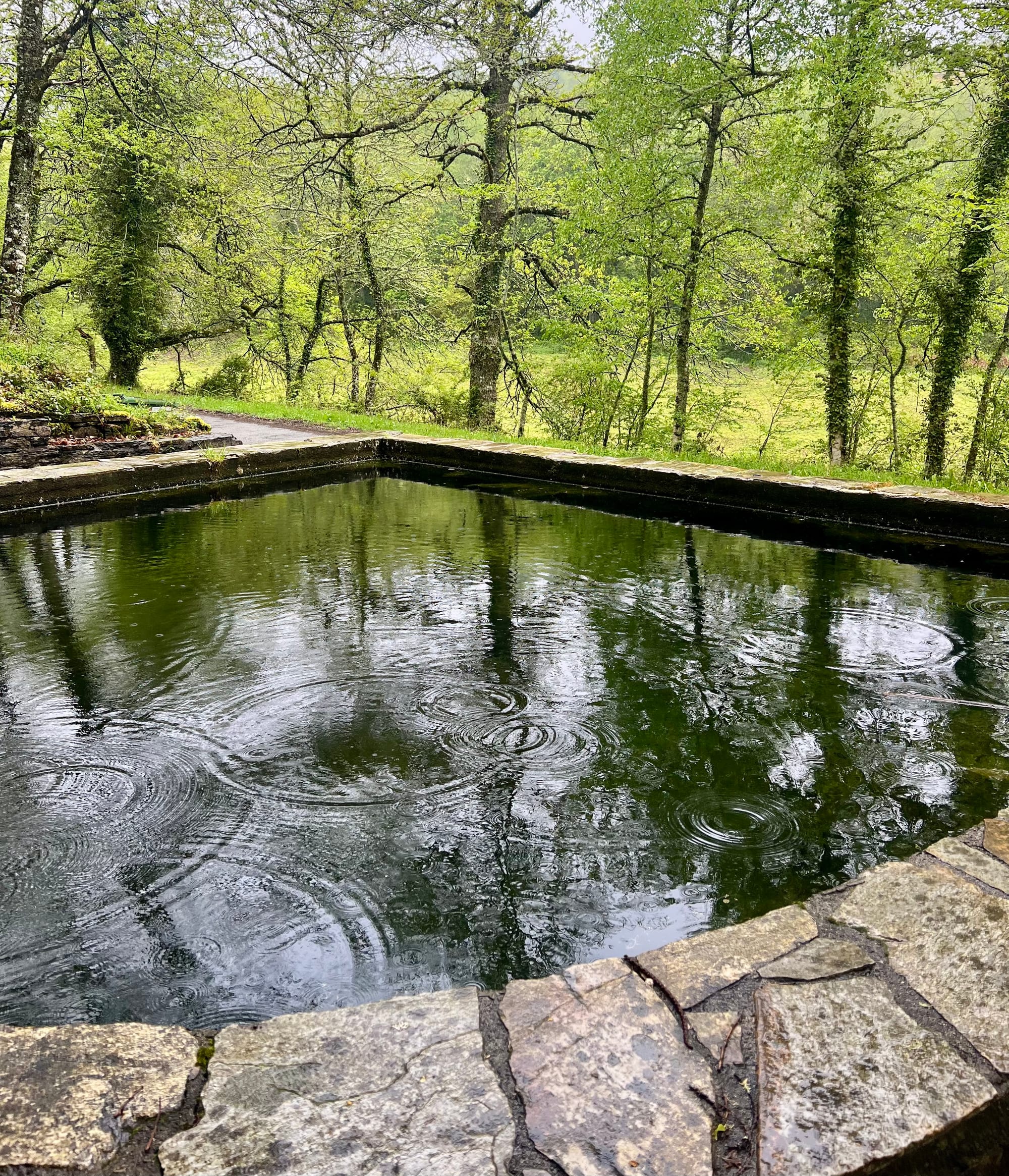 Photos from along the way