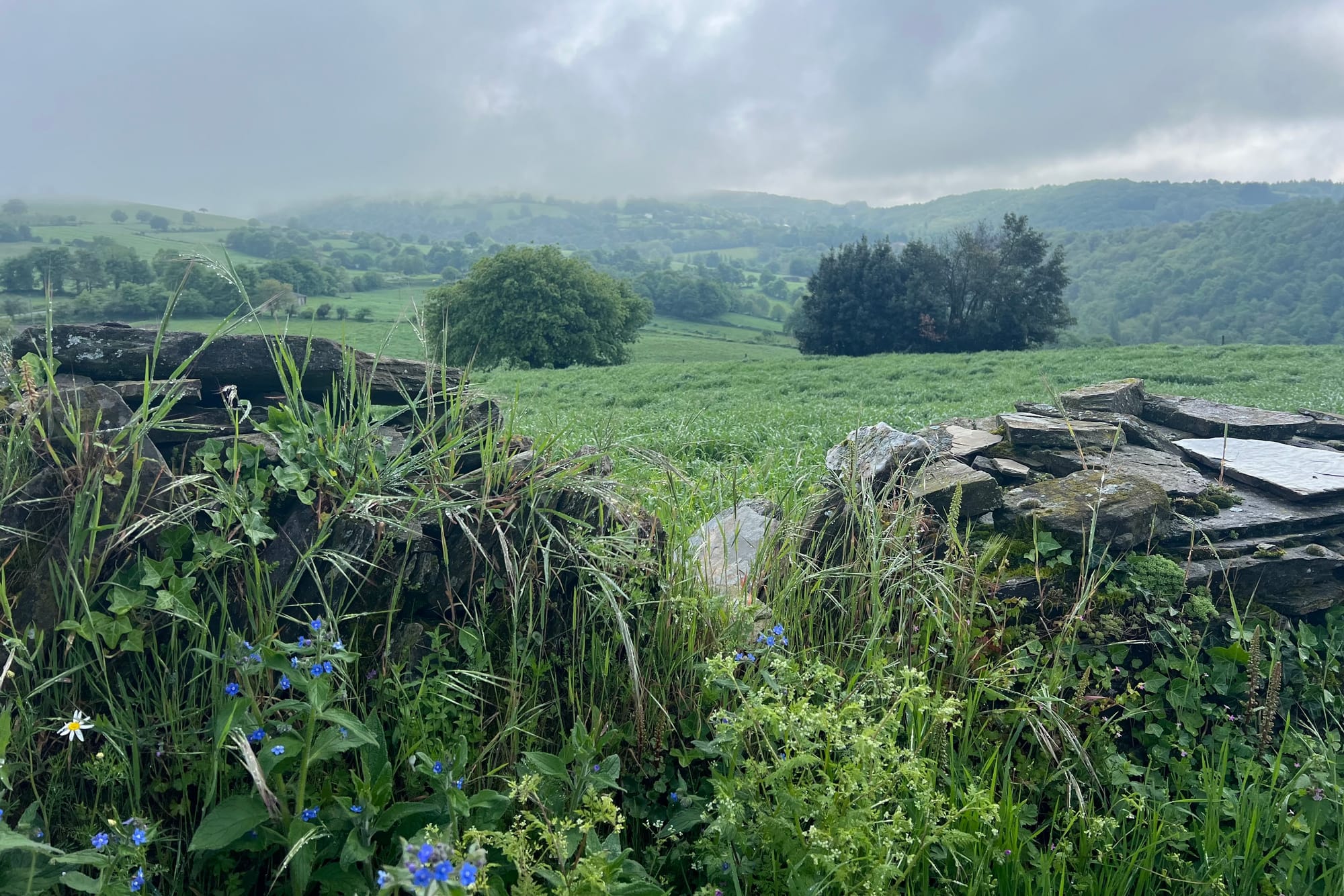 Photos from along the way