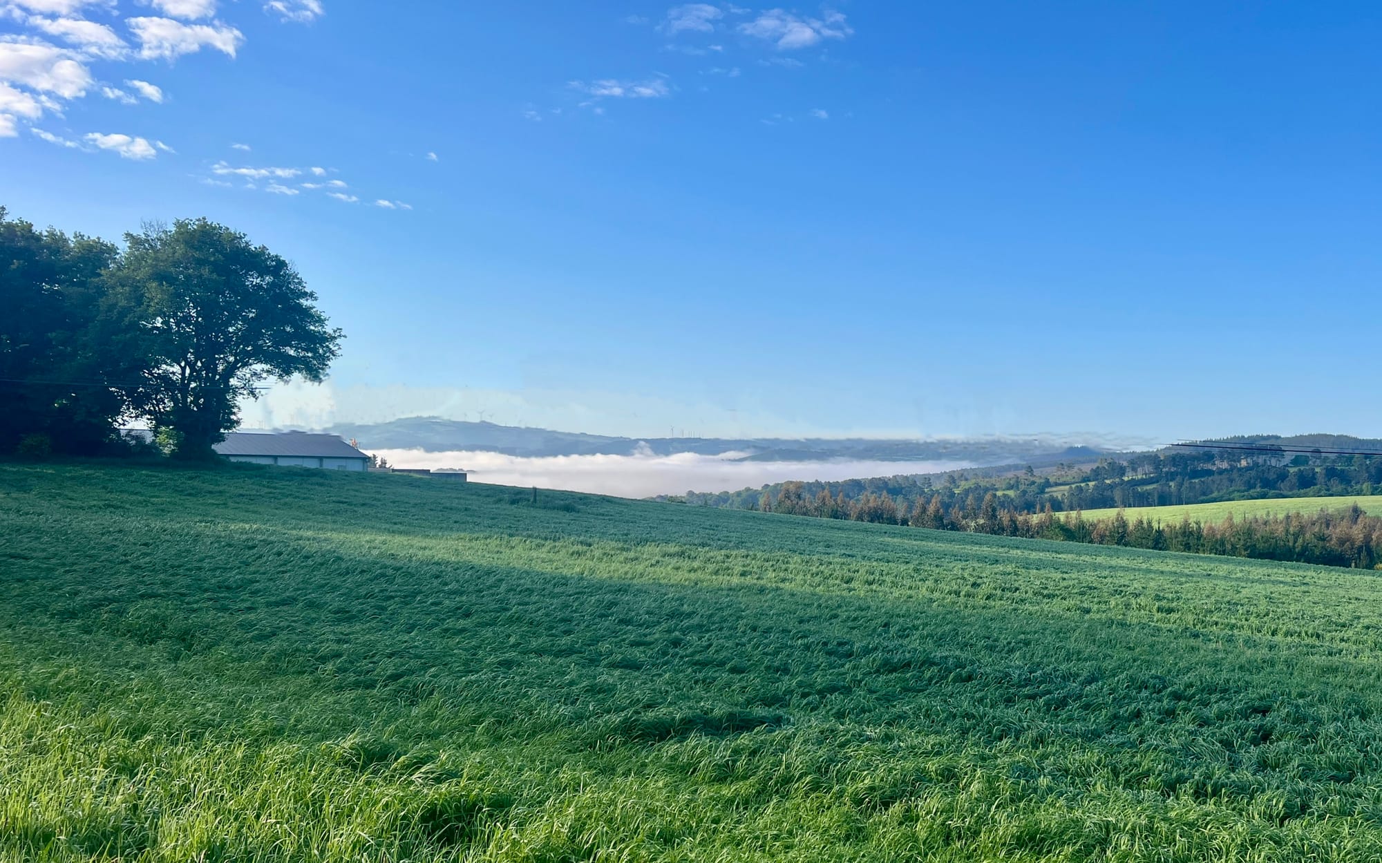Random favorites from the trail today 