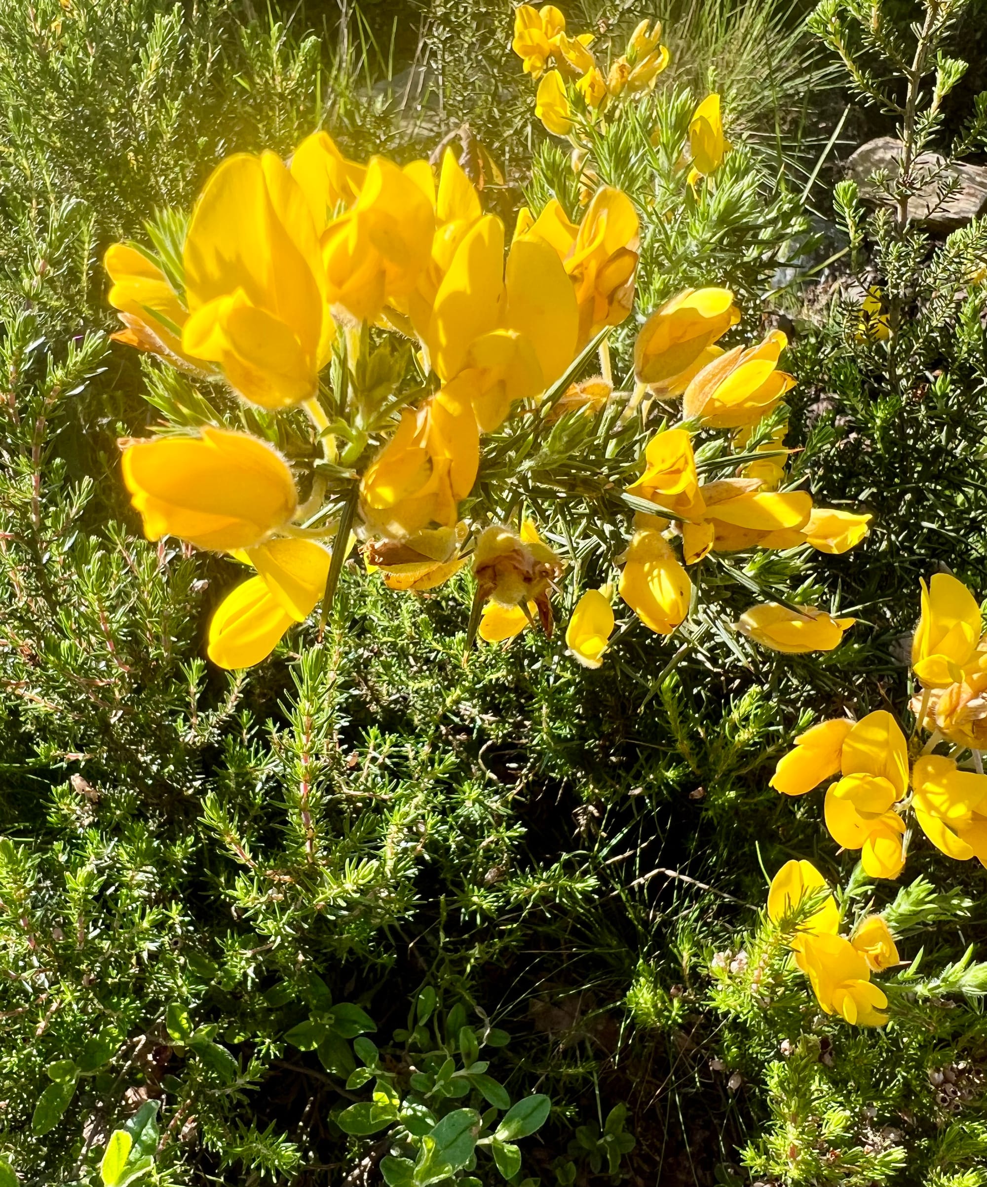 Random favorites from the trail today 