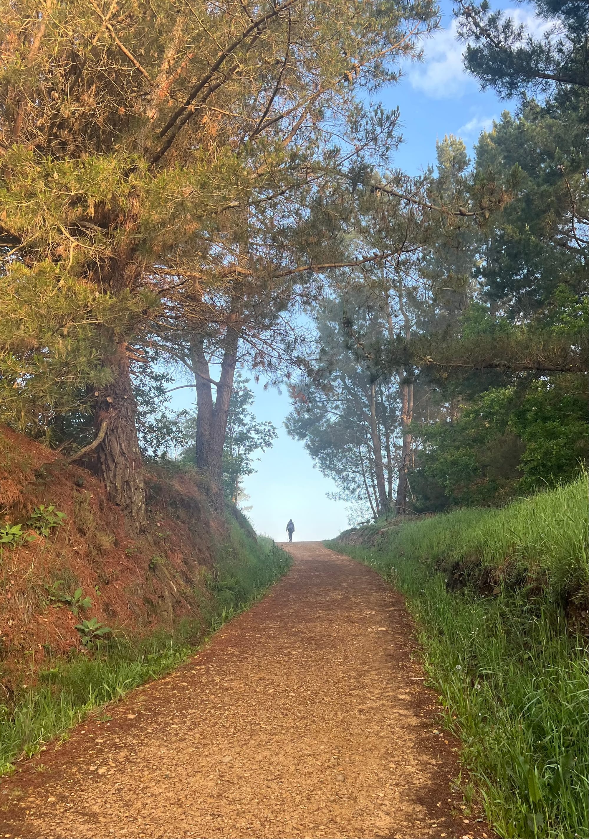Random favorites from the trail today 