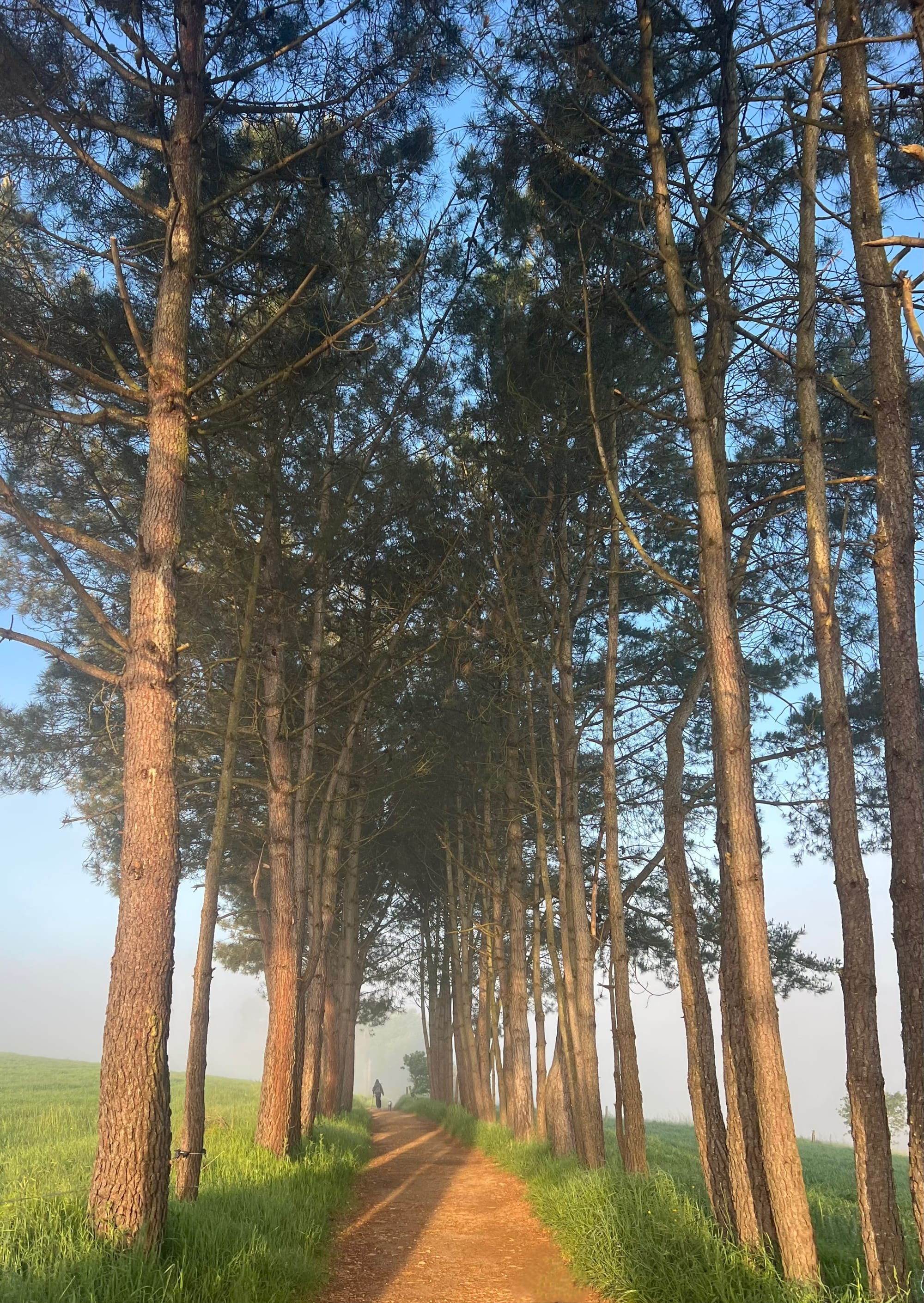 Random favorites from the trail today 