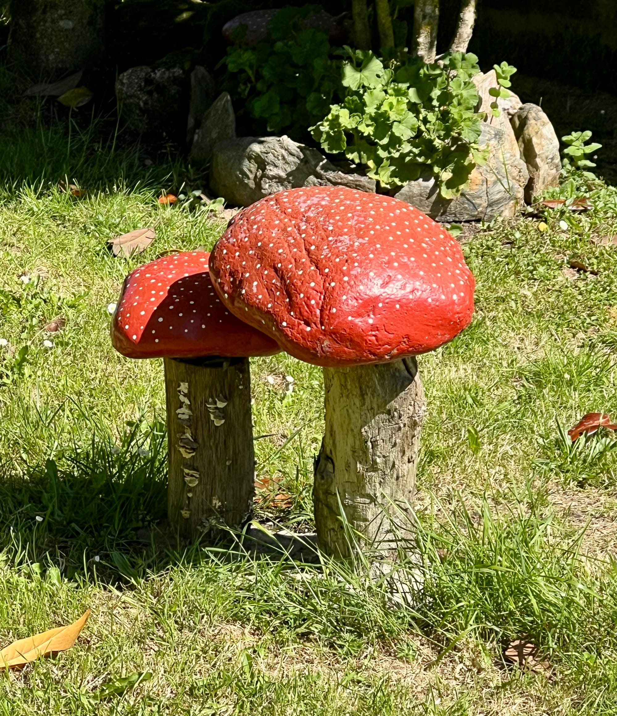 Random favorites from the trail today 