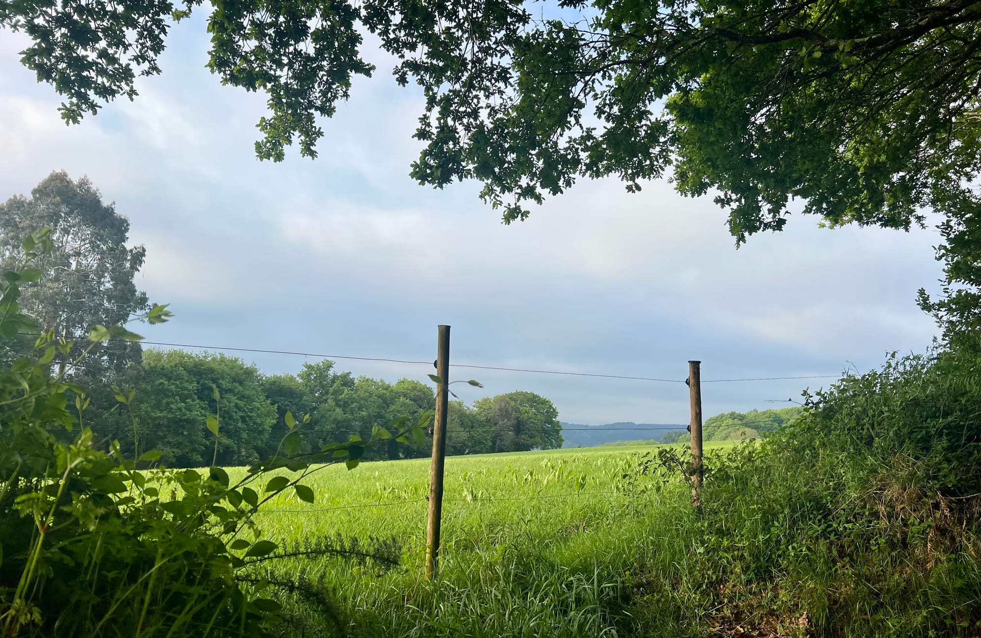 Early morning..long day