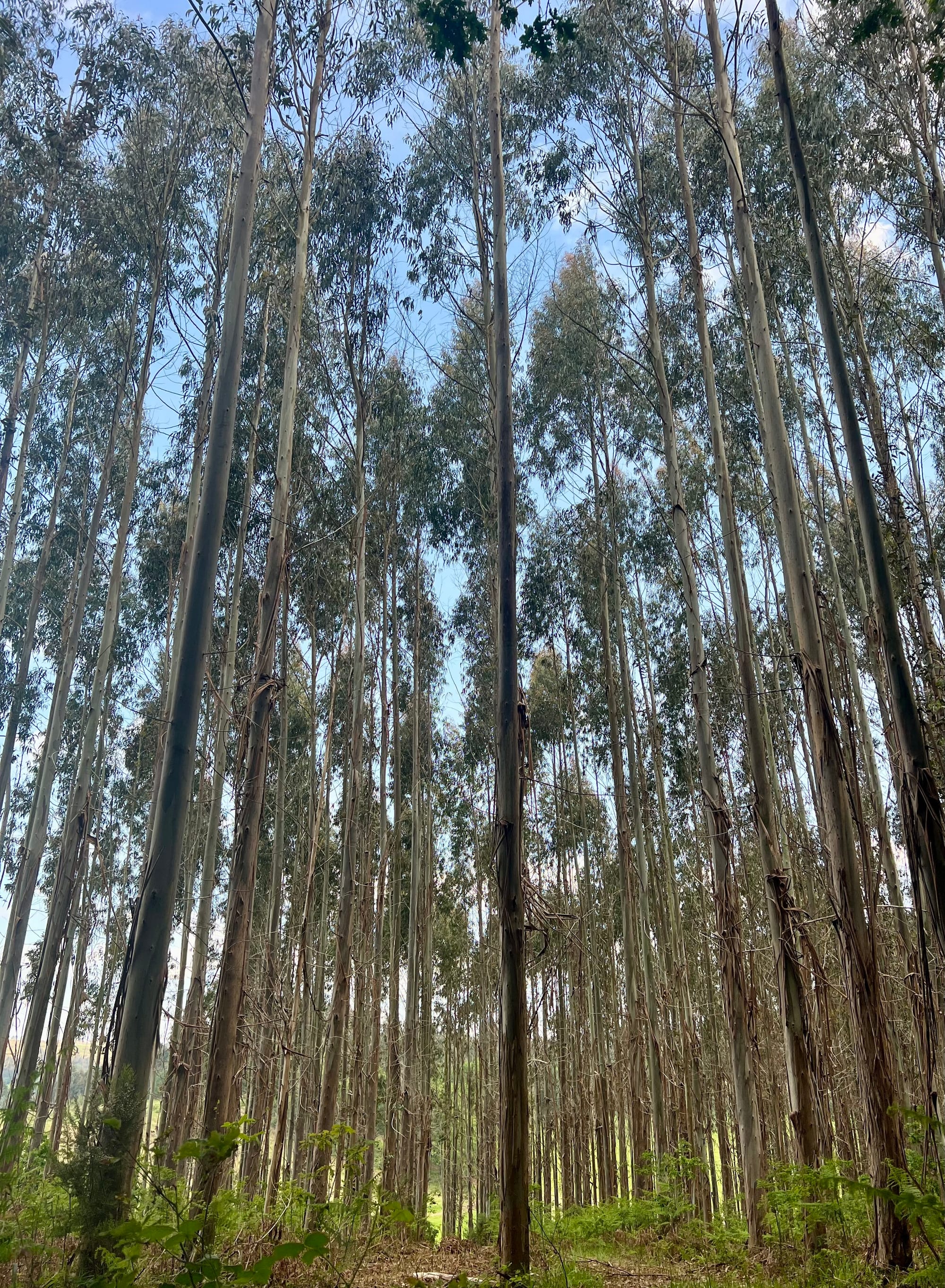 Early morning..long day