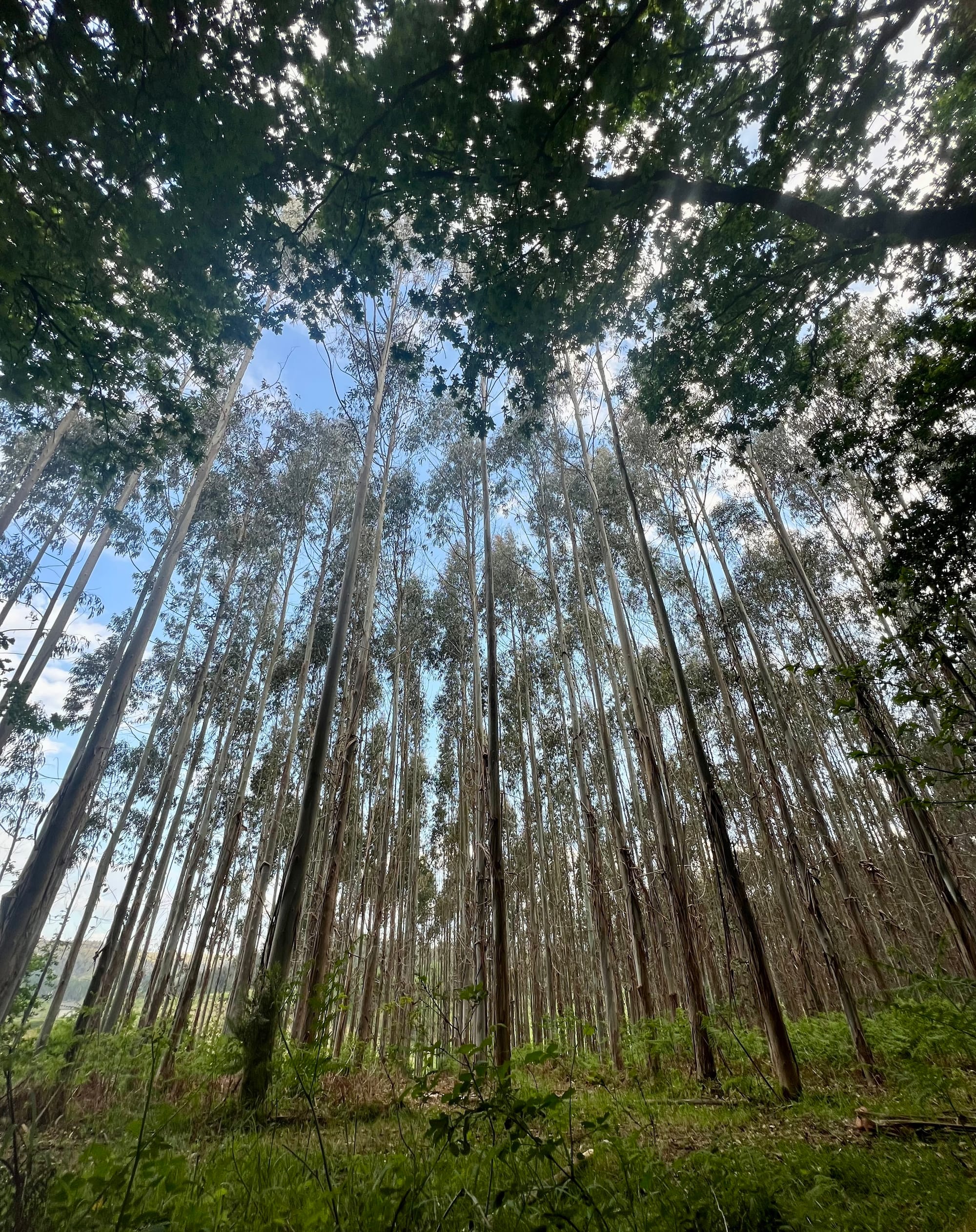 Early morning..long day