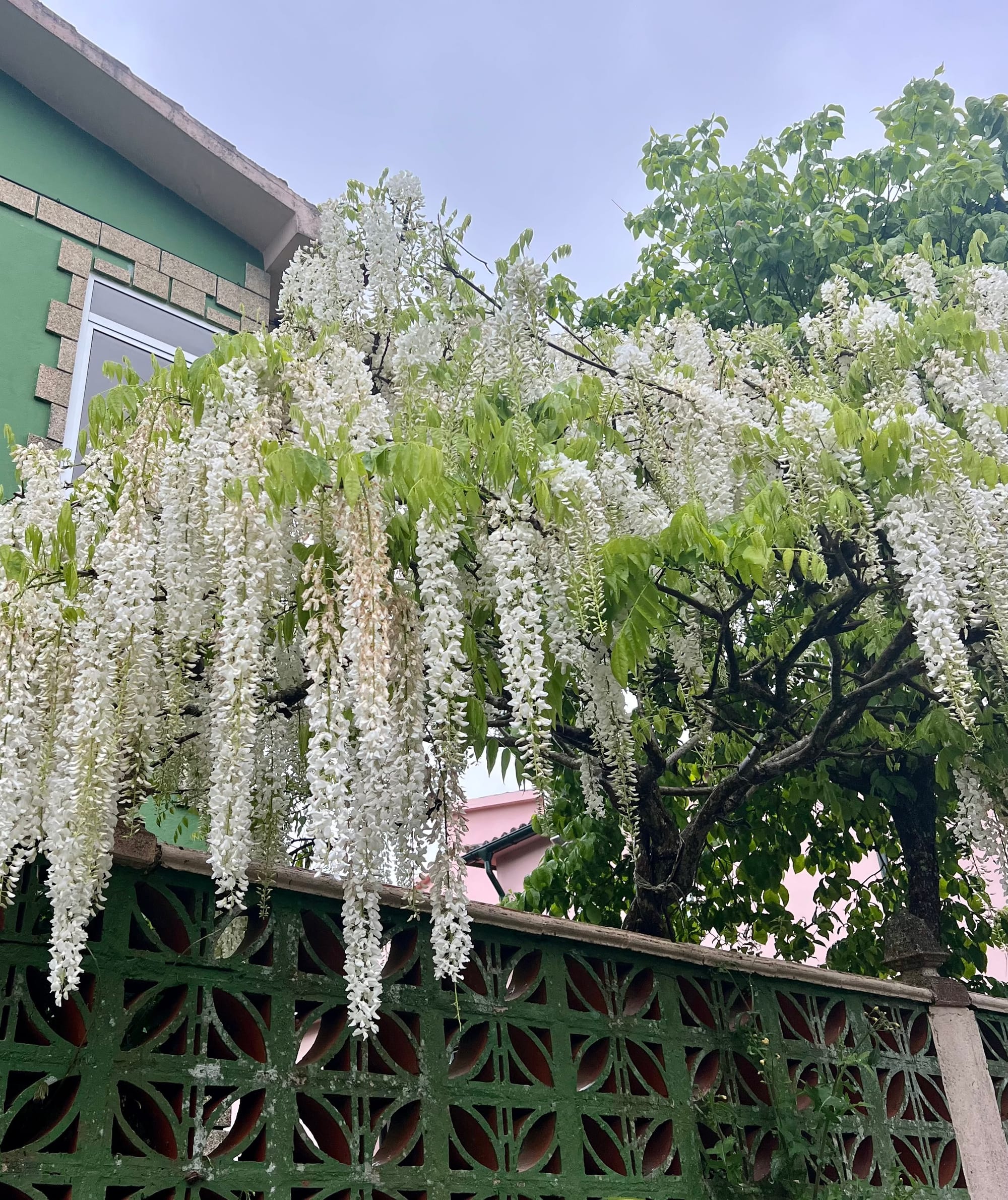 The one where we made it to Santiago