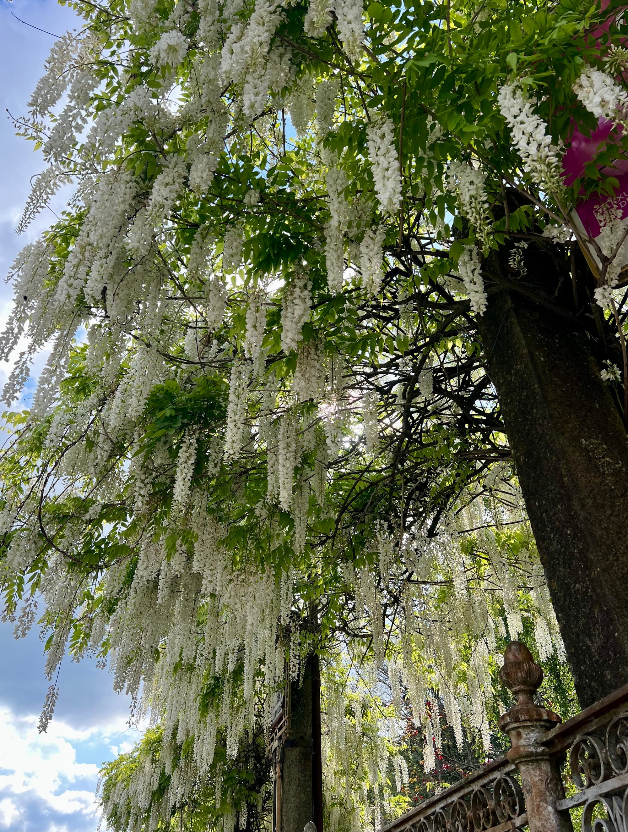 Around the town of Santiago 