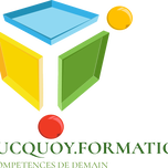 Monsieur Laurent Rucquoy