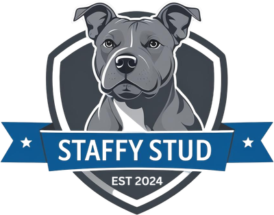NZ Staffy Stud