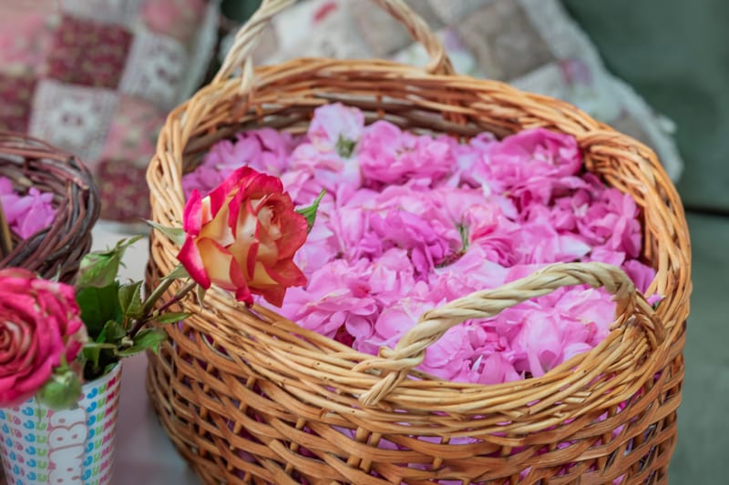 منتجات الورد