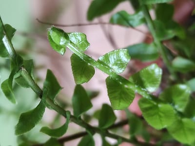 💚Különbözőek vagyunk, avagy nincs olyan, hogy "tökéletes" és akit szeretsz, szeresd a hibáival együtt!