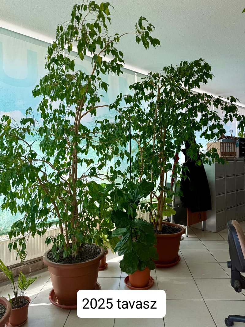 Az óriások földjén