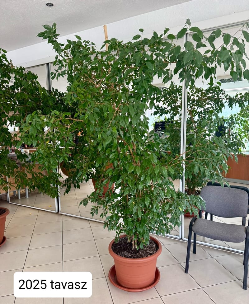 Az óriások földjén