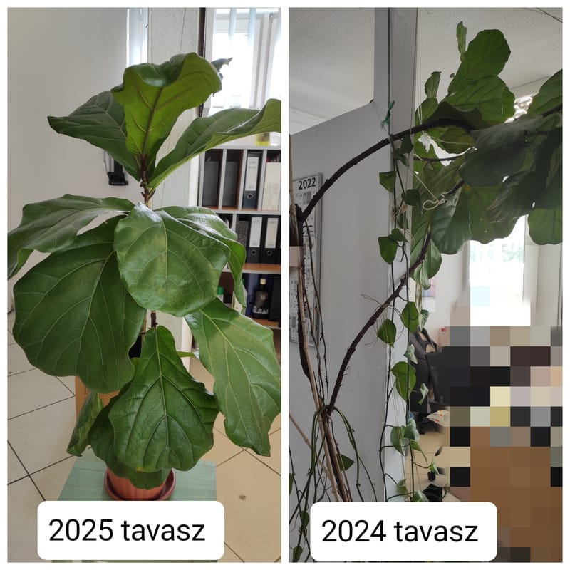 Az óriások földjén