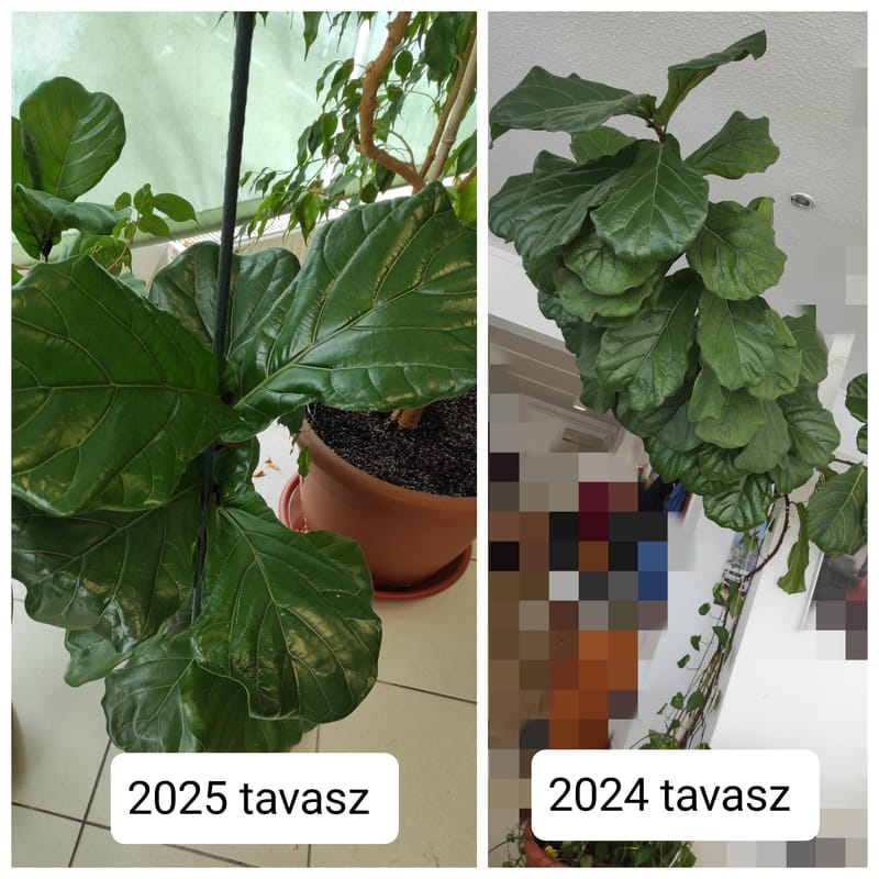 Az óriások földjén