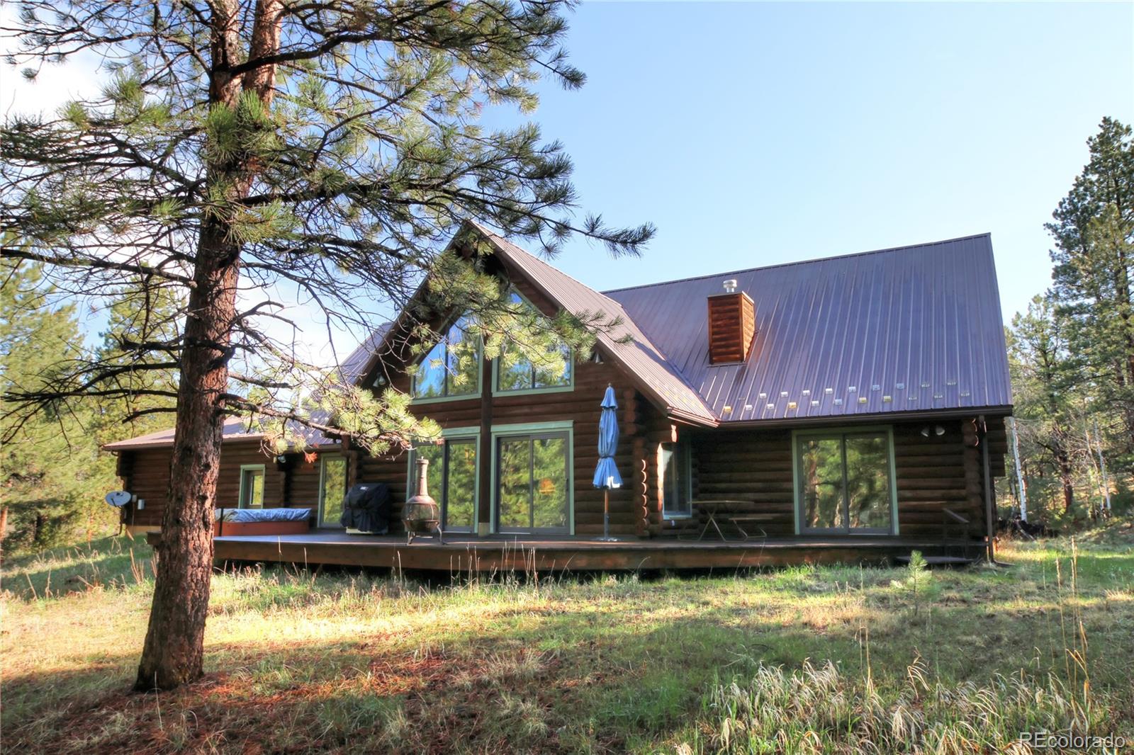 20036 Spring Creek Rd, Buffalo Creek Co 80425 $960,000 MLS 6626412