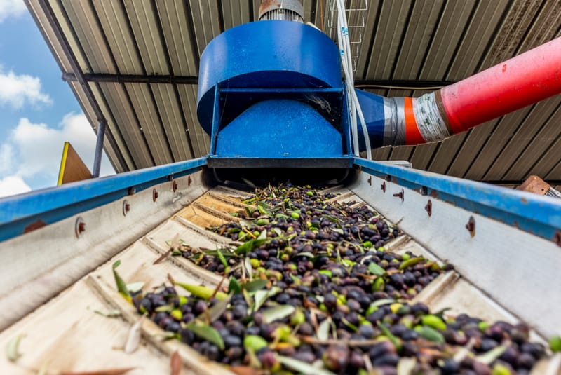 The power of pressing and crushing; a Christian journey