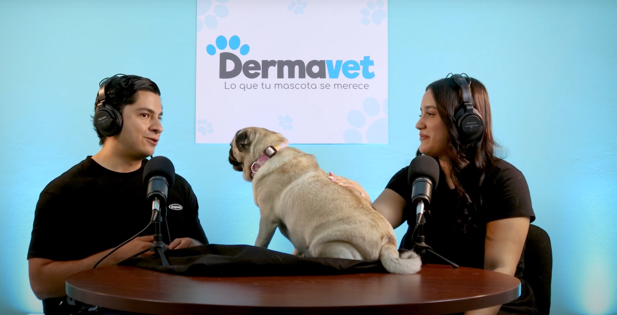 Podcast para Dermavet